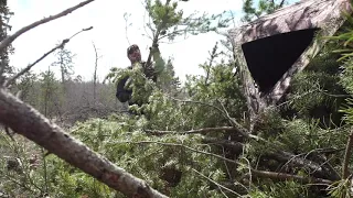 How to use Hunting Blinds for Big Mature Black Bears | Marshland Outfitters