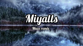 HOMIE feat. BENGRY - Скурил ( Miyalls remix )