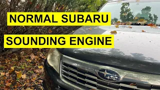 Why Does My Subaru Engine Sound Loud? Is It Normal?