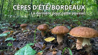 La dernière sortie d'août!  Les cèpes poussent si vite!