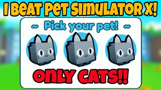 I Beat Pet Sim X Using ONLY CATS!