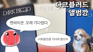 [엔진브이로그] 엔하이픈 11개월만의 컴백을 축하합니다🎉 축하기념 앨범깡인데 이제 활동이 끝난..