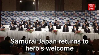 Samurai Japan returns to hero's welcome