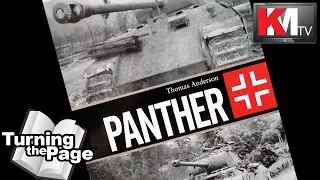 Panther by Thomas Anderson