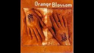 Orange Blossom - I'm Dying