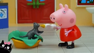 Peppa Pig lleva a su gatita al Centro Veterinario de Playmobil - Vídeos de Juguetes Peppa Pig