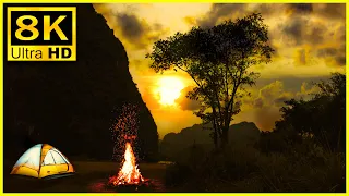 🔥 8K UHD Campfire in the Forest at Sunrise | Relaxing Campfire & Crackling Fire Sounds | Relaxation