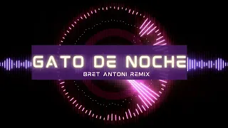 Bad Bunny - Gato De Noche (Brett Antoni Remix)