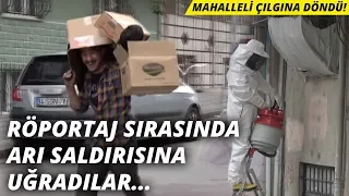 Röportaj sırasında arı saldırısına uğradılar... Mahalleli çılgına döndü!