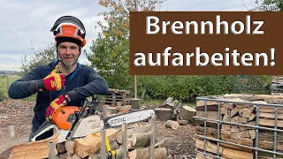 Brennholz mit Sägebock Holzmichel aufarbeiten , einfach, schnell,  und kompakt mit Stihl MS 441