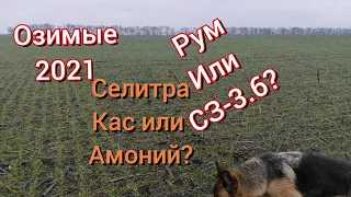 Озимая после КАС. Амоний, КАС, Селитра.?Рум,Или Сеялка?