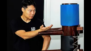 Wing Chun Wooden Dummy Training and Partner Application with Leo Au Yeung