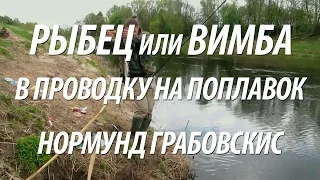 РЫБА РЫБЕЦ ИЛИ ВИМБА - ЛОВЛЯ НА ПОПЛАВОК. РЫБАЛКА В ПРОВОДКУ С НОРМУНДОМ ГРАБОВСКИСОМ НА МАЛОЙ РЕКЕ