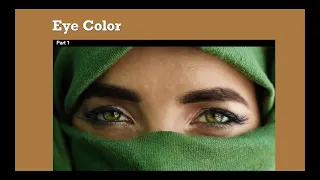 Human Biology: Eye Color