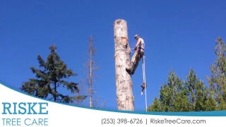 Riske Tree Care | Tree Service in Greater Seattle Area