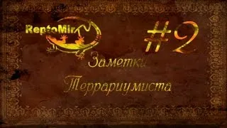 Как сделать объемный фон для террариума. Часть 1. Заметки террариумиста №2.