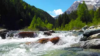 Sound of Mountain Stream Flowing. Relaxing Nature Sounds. Flowing Water, White Noise for Sleeping.