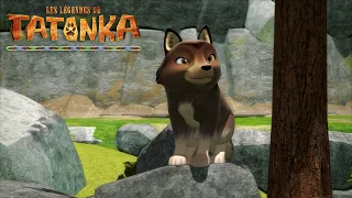 🐺 Tatonka en Français | Nouvelle Compilation | Soleil Noir | Dessins animés de loups