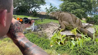 Blow darts for iguana Hunting - Patrolling florida waterways with boat and Air rifles!