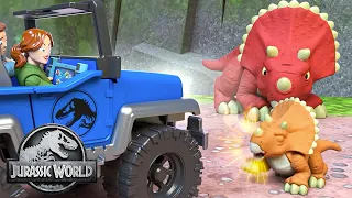 Helping the Baby & Mother Triceratopses! | Jurassic World | Kids Adventure Show | Dinosaur Cartoons