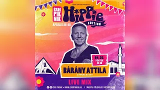 Bárány Attila @ Érdi Piknik Hippie Edition 2024.04.26. Live Mix