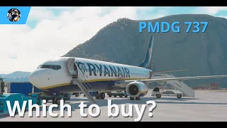 Which 737 to buy in MSFS?  #pmdg