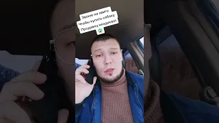 Звоню на авито, чтобы купить собаку 🤣 Прикол