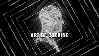 Art of Cocaine Set - S.O.L.O.M.U.N - Boris Brejcha - Maceo Plex by RTTWLR