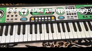 Как играть на пианино собачий вальс(способ для начинающих)