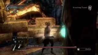 Demon's Souls Speedrun 55:03