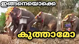 Arattupuzha Pooram elephant Attack 2022