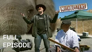 Force of Nature Myths  | MythBusters | Season 5 Episode 22 | Full Episode