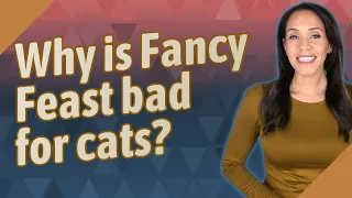 Why is Fancy Feast bad for cats?