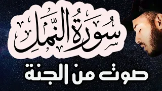 سورةالنمل 🐜 ( كاملة ) تلاوة🌹هادئة😴للنوم راحة للقلب❤️ والعقل صوت من السماء وراحة نفسية بلال دربالي 2