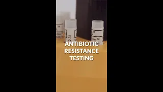 How to test for drug-resistant superbugs #shorts