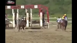 Kecelakaan kuda  fatal horse  accident