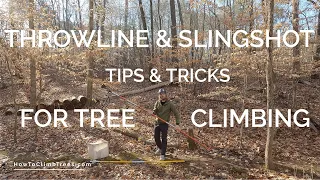 Throwline & Slingshot Tips & Tricks For Tree Climbing - Get Your Climbing Rope Installed Faster!