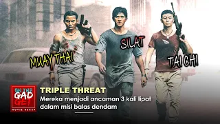 AKSI SERU ! KOLABORASI 3 ILMU BELA DIRI ASIA | Alur Cerita Film Laga Action