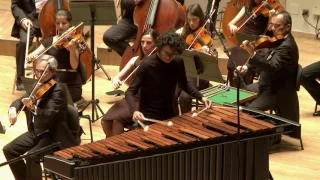 Double concerto for Marimba, Vibraphone and Orchestra, E.Séjourné