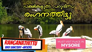 RANGANATHITTU BIRD SANCTUARY MYSORE | Pakshi Kashi of Karnataka | Salim Ali | Exploring Mysore