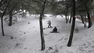 Crestline backyard shred