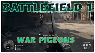 Battlefield 1 Multiplayer - War Pigeons - no commentary