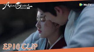 EP10Clip|When Yunzhi was seen trying to kiss Qi, he appeared to be punching flies!|国子监来了个女弟子|ENG SUB