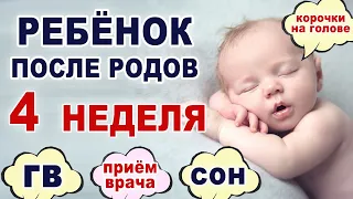 Что происходит и что нужно ребенку на 4 неделе жизни? Ребенок на четвертой неделе после родов.