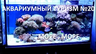 Аквариумный туризм№20 (Шикарный морской аквариум в городе Екатеринбург)