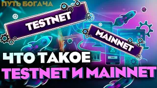 What is Testnet and Mainnet in cryptocurrency? And what is the difference
