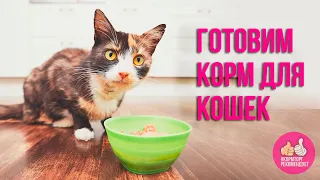 Корм для кошек своими рукамиНатуральное питание для кошекКак кормить кота натуралкой Зоодиетолог