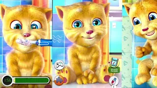 Talking Tom Ginger Cat #funny game 🍇🍈🍉🍊🍋🍌🍍🥭🍎 #talkingtom #gameplay #viral #gaming #video #asmr