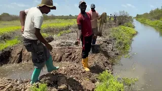 Berbice Guyana Part2 | Fishing in Berbice | Ep5