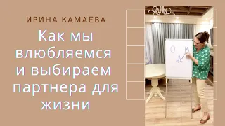 Ирина Камаева. Как мы влюбляемся и как выбираем партнера в жизни. Психоаналитический взгляд